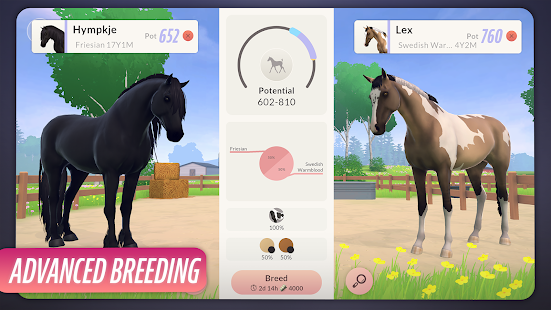 Equestrian the Game Screenshot