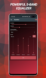 Pi Music Player: Offline Music Screenshot