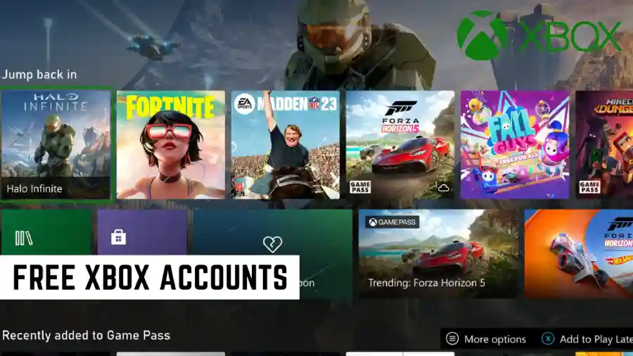 Xbox Accounts Email And Password – February 2024